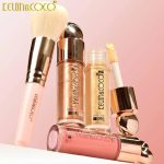 highlight blush and brush set